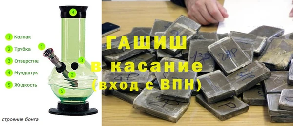 гидра Алексин