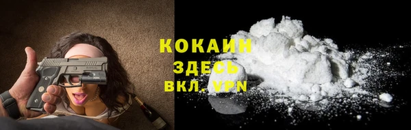 твердый Дмитровск