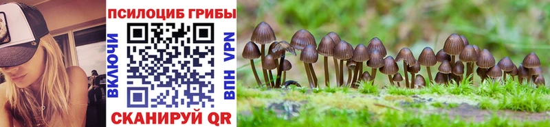 Галлюциногенные грибы мухоморы  hydra tor  Руза  как найти закладки 